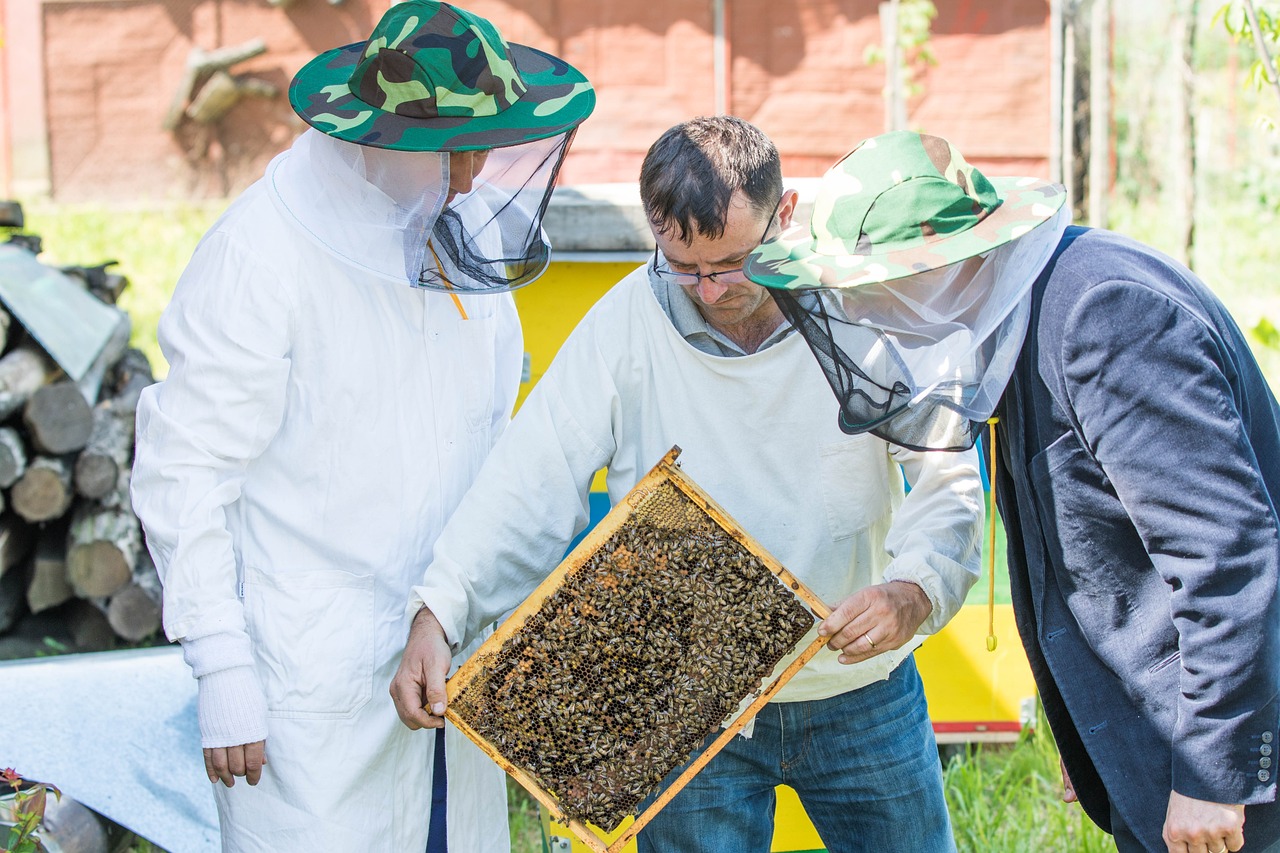 bee, beekeeper, the hive-3798048.jpg